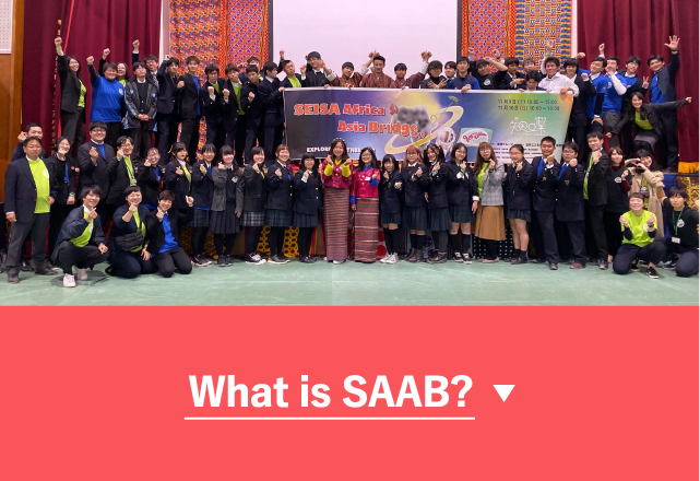 What is SAAB?